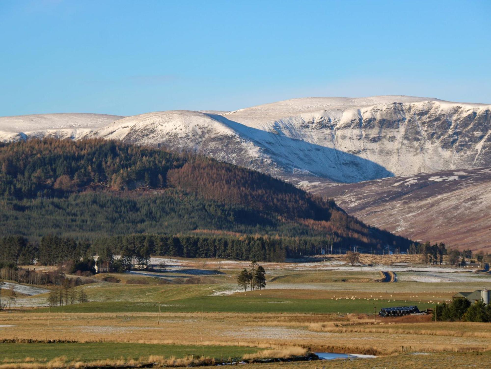 The Bothy Villa Kirriemuir Bagian luar foto